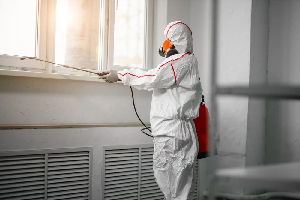 Professional mold remediation services in Waterville, MN